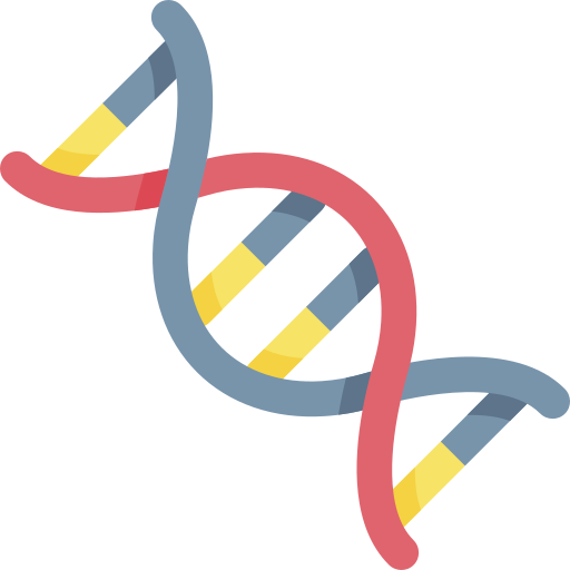 DNA Yapısı